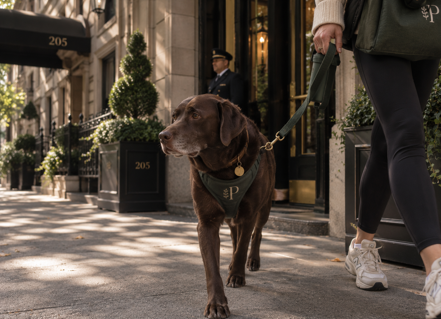A Puppercise walker guiding a chocolate Labrador outside an Upper West Side residence